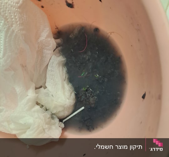 דלי עם מים מלוכלכים ונייר טואלט